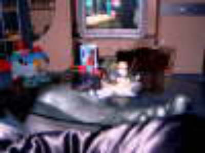 db_010-_Dezember_2005_mein_erster_Nicolausstiefel