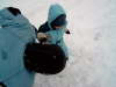 db_018-Dezember_2005__da_habe_ich_den_Papa_aber_umgehauen